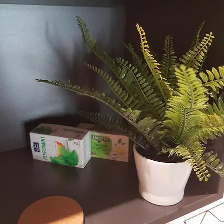 Tesla 3 Lägenhet Novi Sad