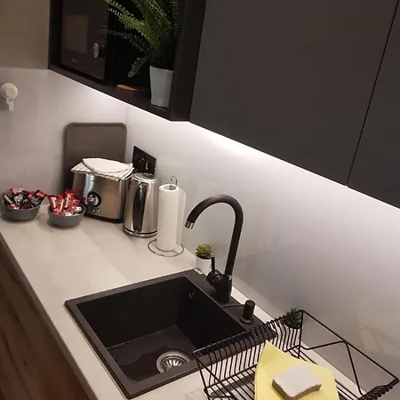 Tesla 3 Apartment Novi Sad
