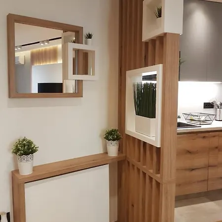 Tesla 3 Apartment
